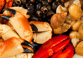 seafood to increase power in men